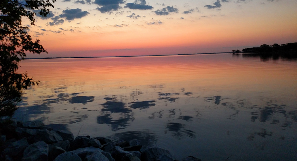 Golden Horizon Art | MangosArt, LLC