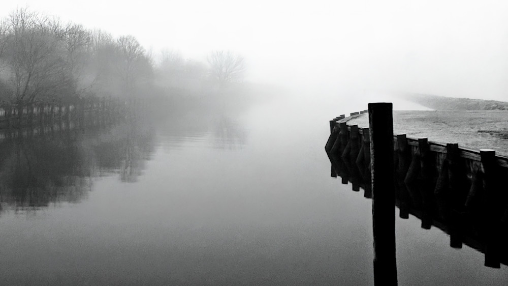 Still Art | MangosArt, LLC