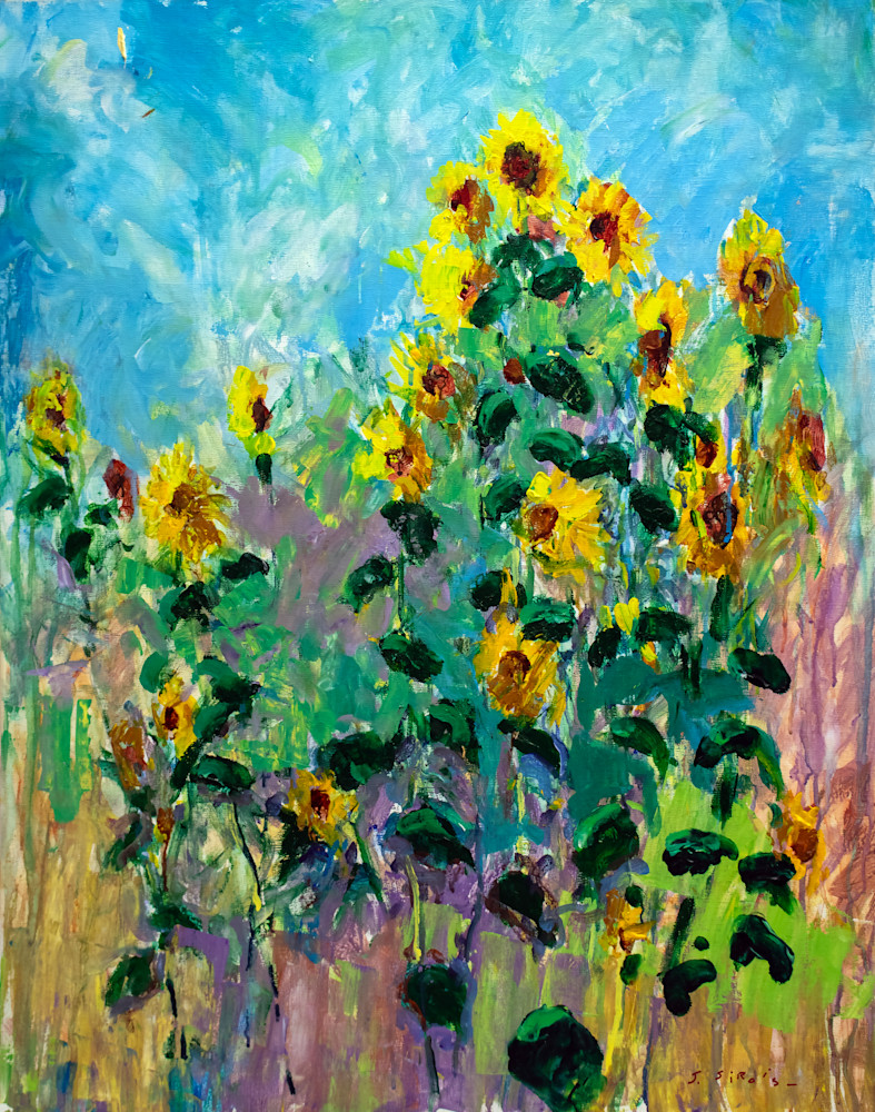 Sun Flowers In The Field  Art | John Sirois