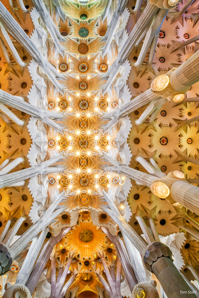 Ceiling Of La Basilica De La Sagrada Familia, Barcelona, Spain, 2022 Photography Art | Tom Stahl Photography