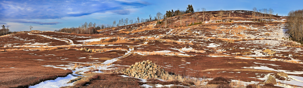 Blueberry Fields, Dedham, Maine Photography Art | Roger Merchant, Place-based Photographer