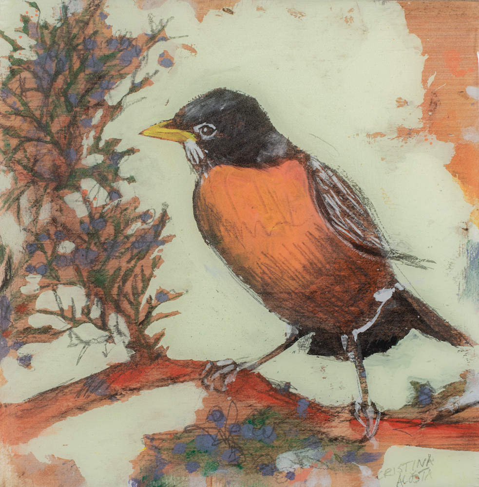 Red Robin With Juniper Berries  Art | Cristina Acosta Art & Design llc