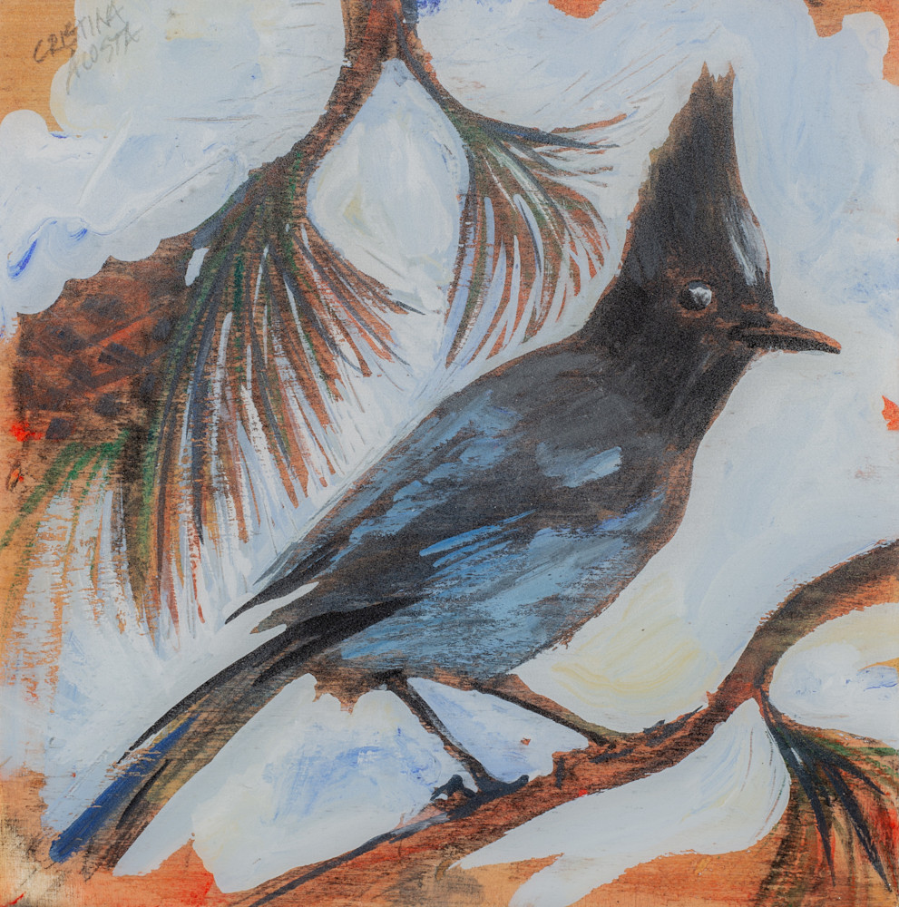 Steller's Jay Moment  Art | Cristina Acosta Art & Design llc