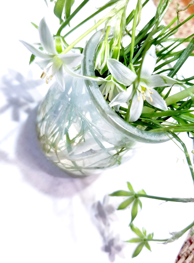 Green Touch Art | Allegory of Nature Store