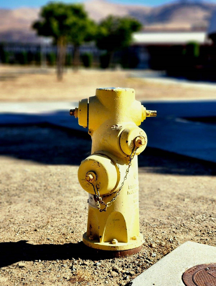 Water Works Art | Jeanie Watson
