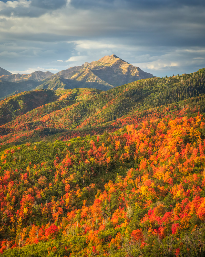 Cascade Fall Color 4:5