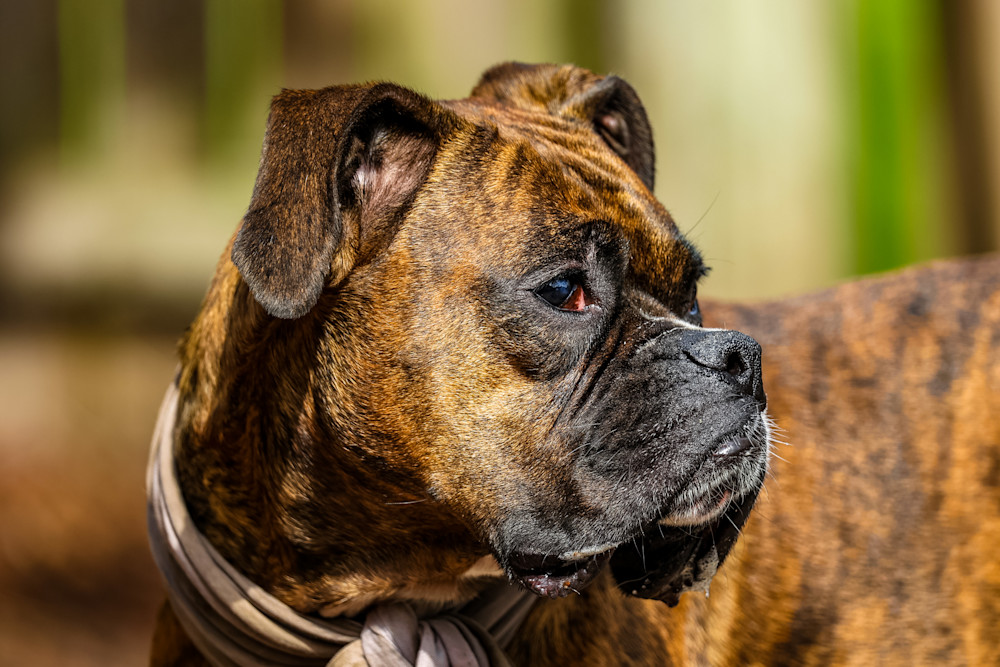 Izzy Photography Art | Kevin Morris Photography USA