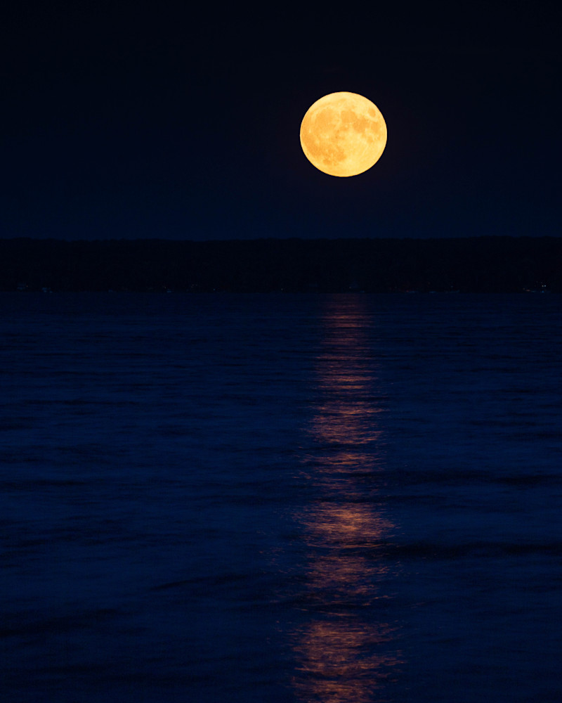 Blue Moon Ii Art | studio176