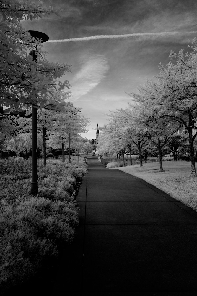 View From A Sidewalk Photography Art | Kevin Morris Photography USA