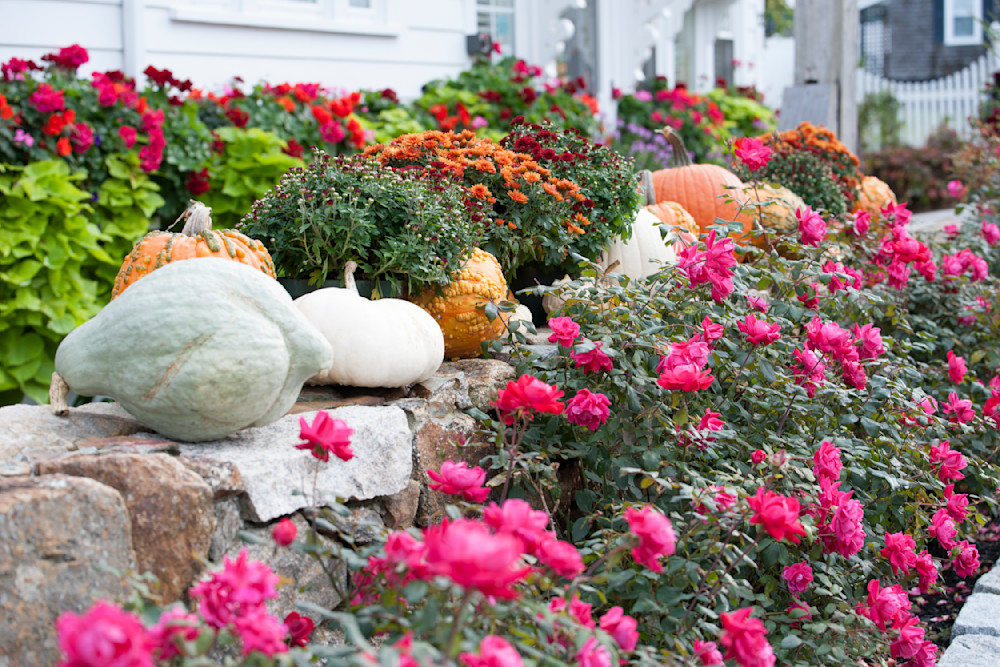Seasonal Art and Decor: Pumpkins And Flowers