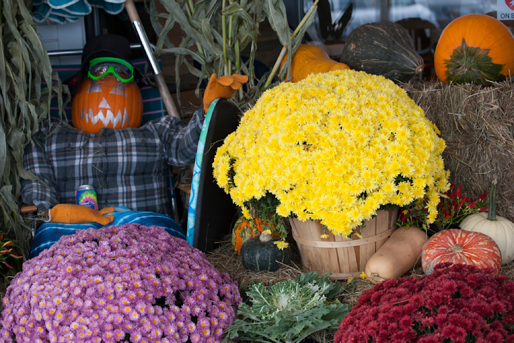 Pumpkins and Scarecrows: Home Decor items for Autumn