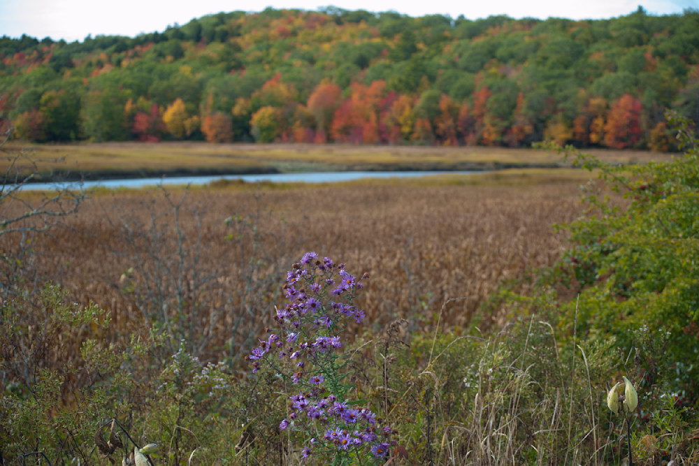 Autumn Landscape Scenes in Maine