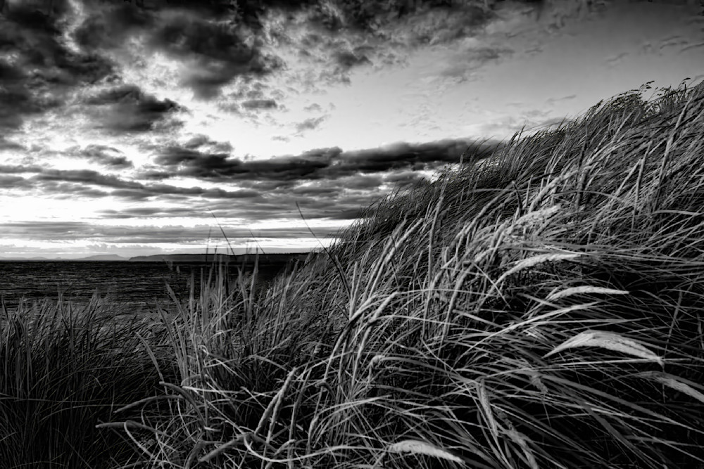 Port Townsend sunset dune grass Fort Worden