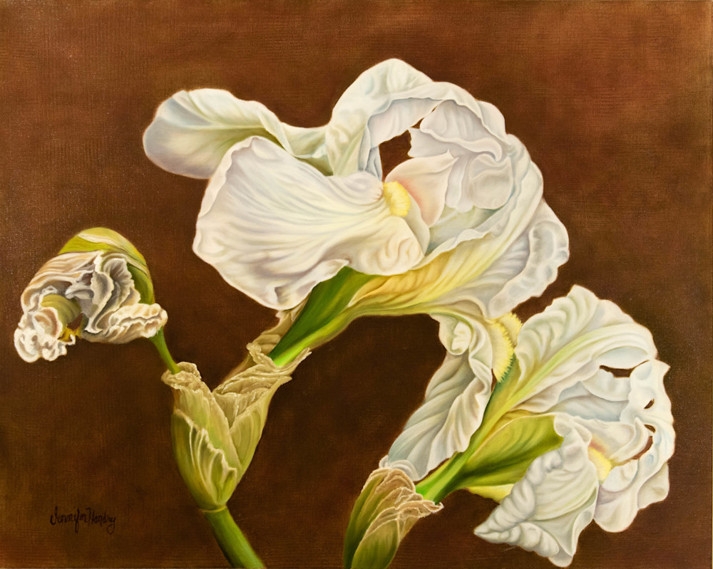 White Irises Art | Hendry Womack Gallery