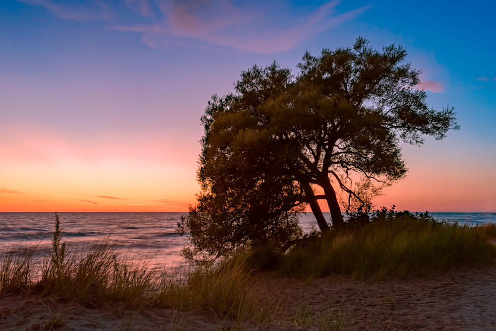 "Settling Down" | Fine Art Photography by Dennis Caskey