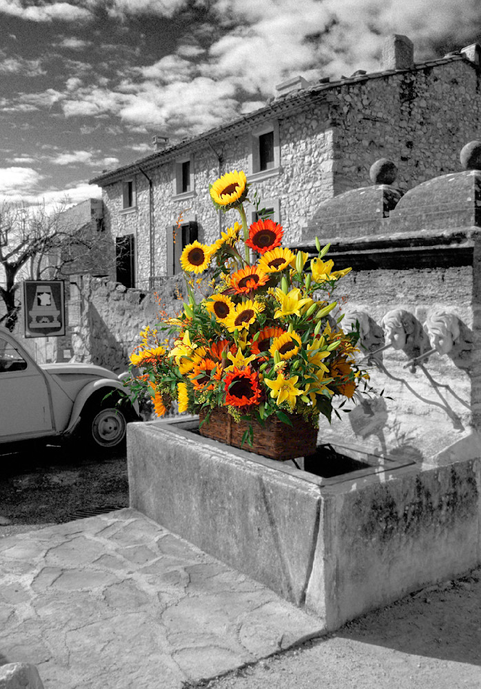 Sunflowers French Fountain Photography Art | Outwater Productions