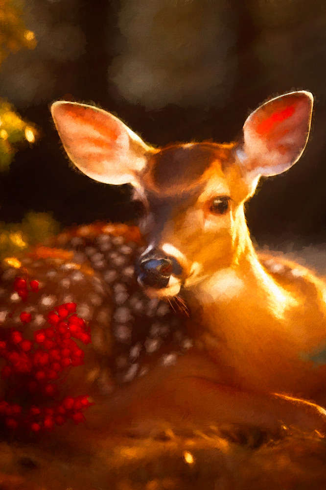 Christmas Fawn Art | Light Pixie Studio