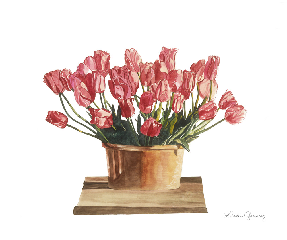 Wild Tulips Art | Alexis Genung Studios