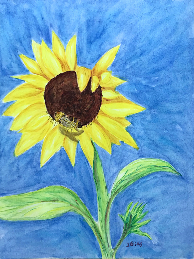 A Beeutiful Flower Art | Sunrise Galleries