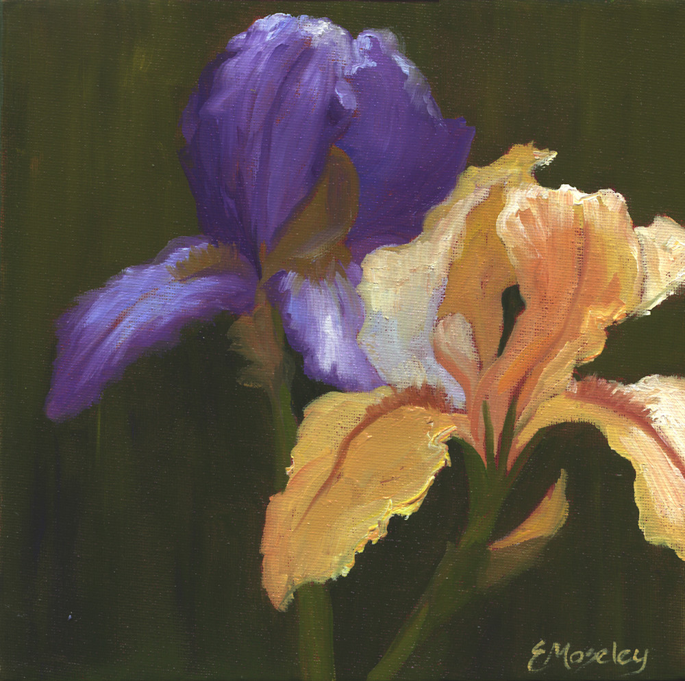Iris Complements Reproduction Art | E.Moseley Studio