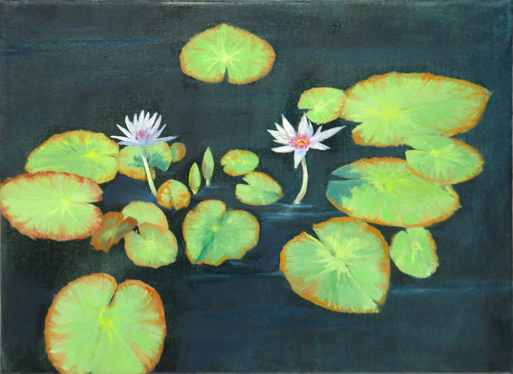 Waterlilies Reproduction Art | E.Moseley Studio