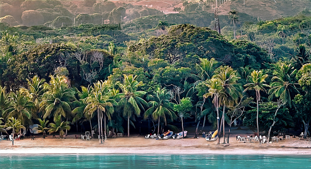 Dominican Island Treeline Photography Art | The Golden Focus by Traci Hoskin