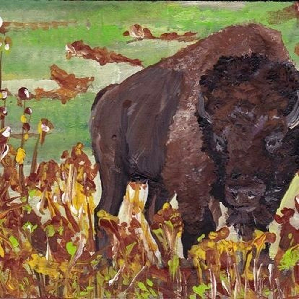 Buffalo Edge Art | JLAMP Jodi Adair