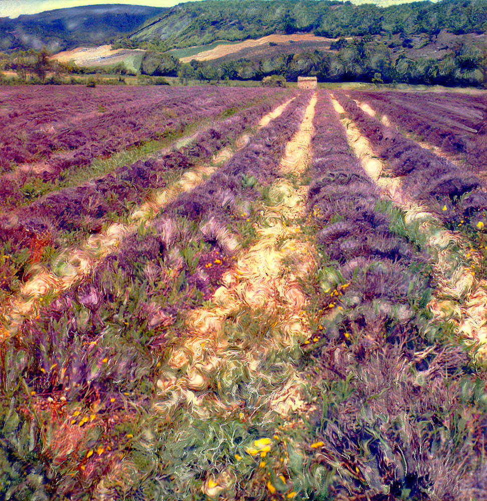 Polaroid Manipulation Provence Lavender Field Montsalier Photography Art | Europa Photogenica     Barbara van Zanten