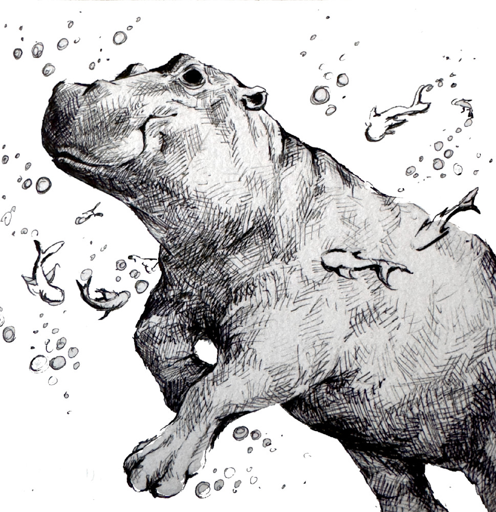 Hippo Art | Meghan Taylor Art