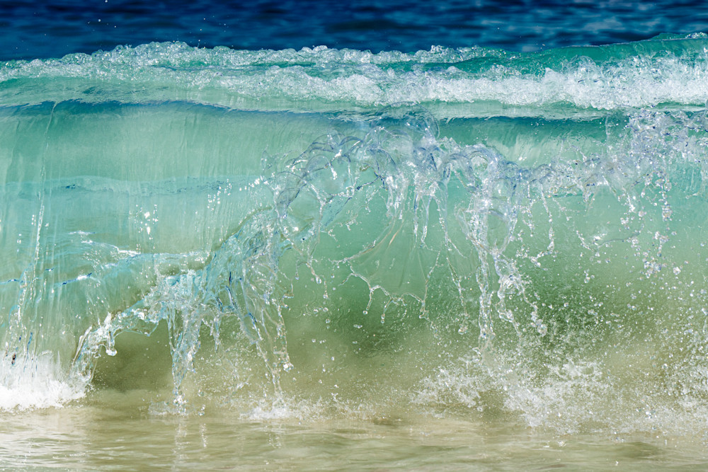Falling For You Photography Art | Amy Mesch Favreau Photography