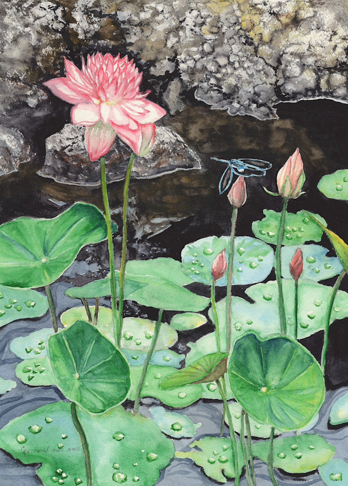 Lotus And Dragonfly Art | Christine Reichow Inc.
