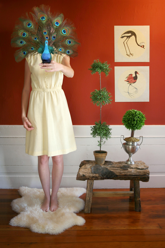 Peacock Lady Photography Art | Kelly Nicolaisen Photography 