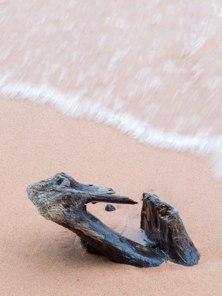 Driftwood and wavelet