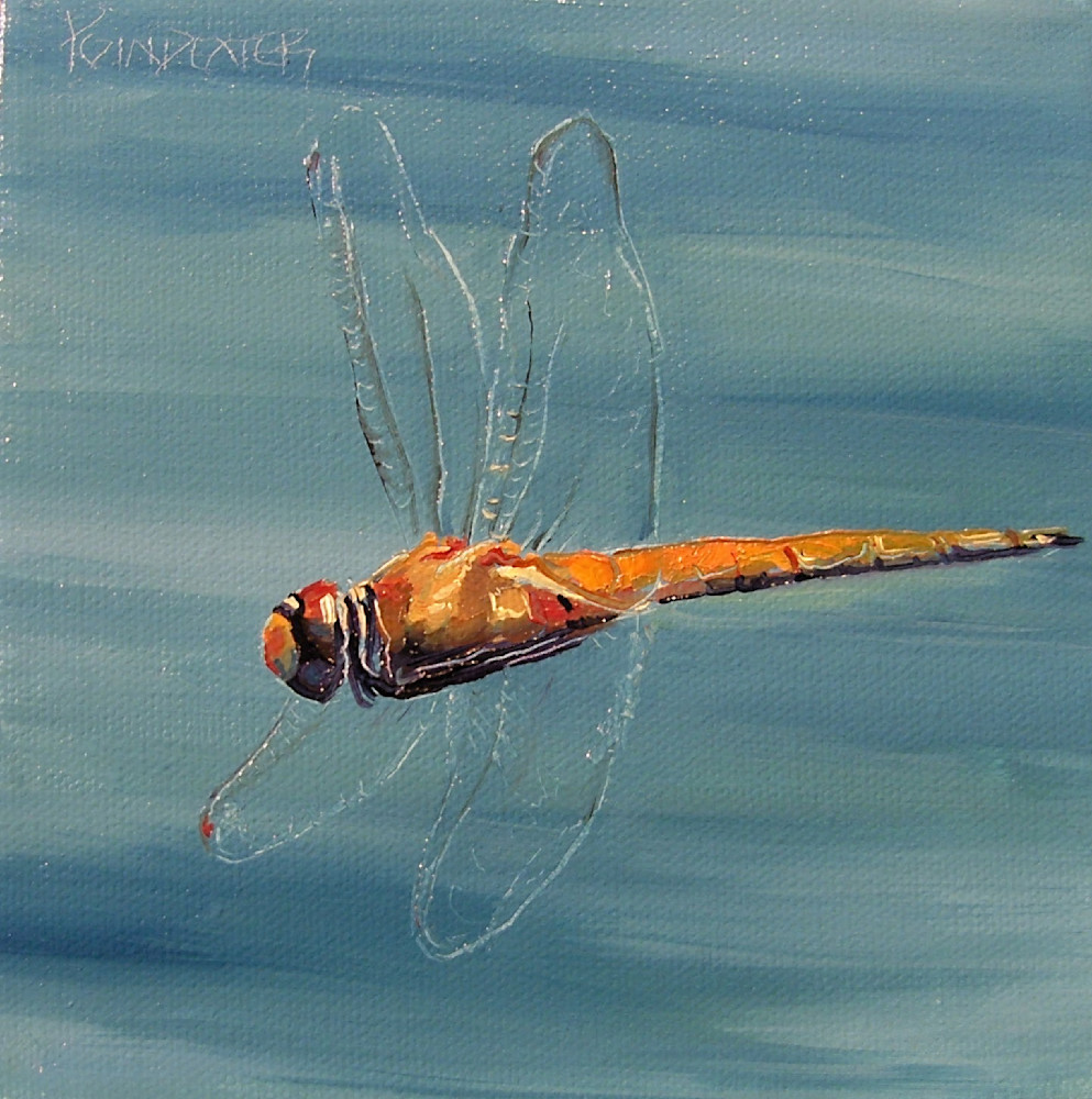 Orange Crush | Contemporary Dragonfly Art