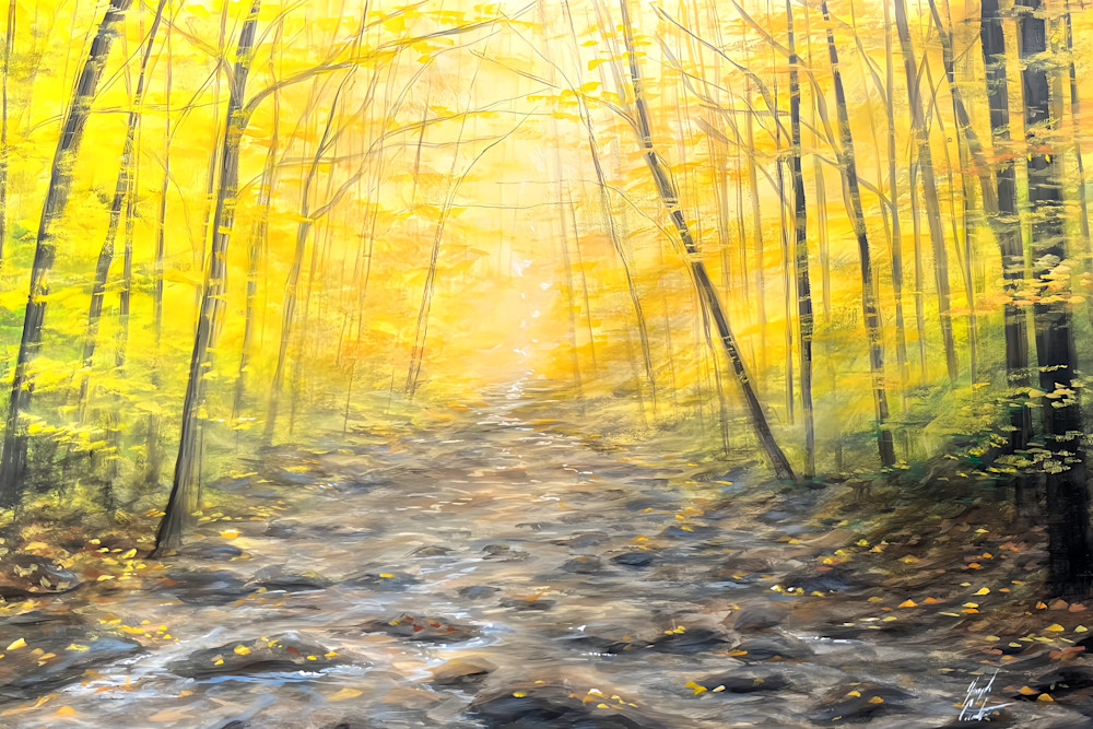 Ambient Stream By Sunscapes Art