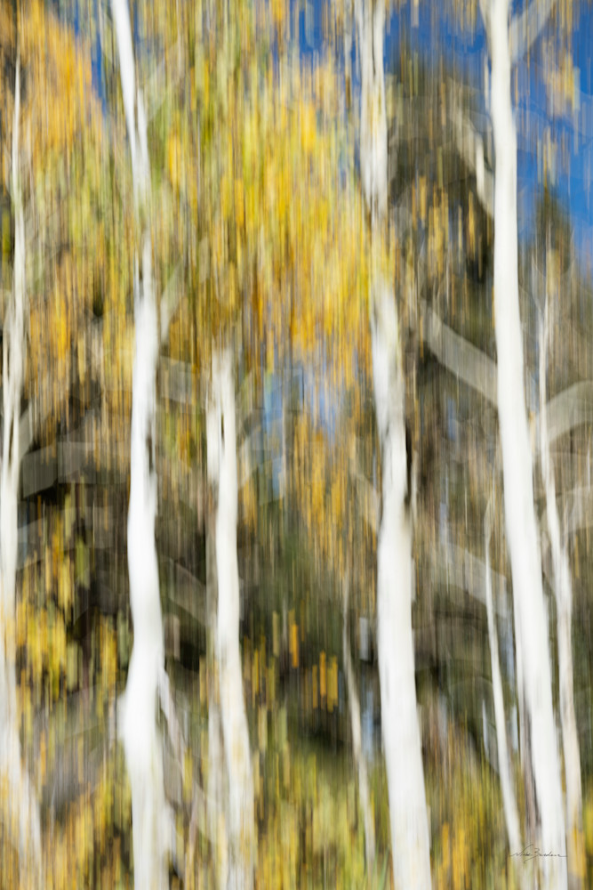 Autumn Anticipation I Photography Art | Niobe Burden Fine Art Photography