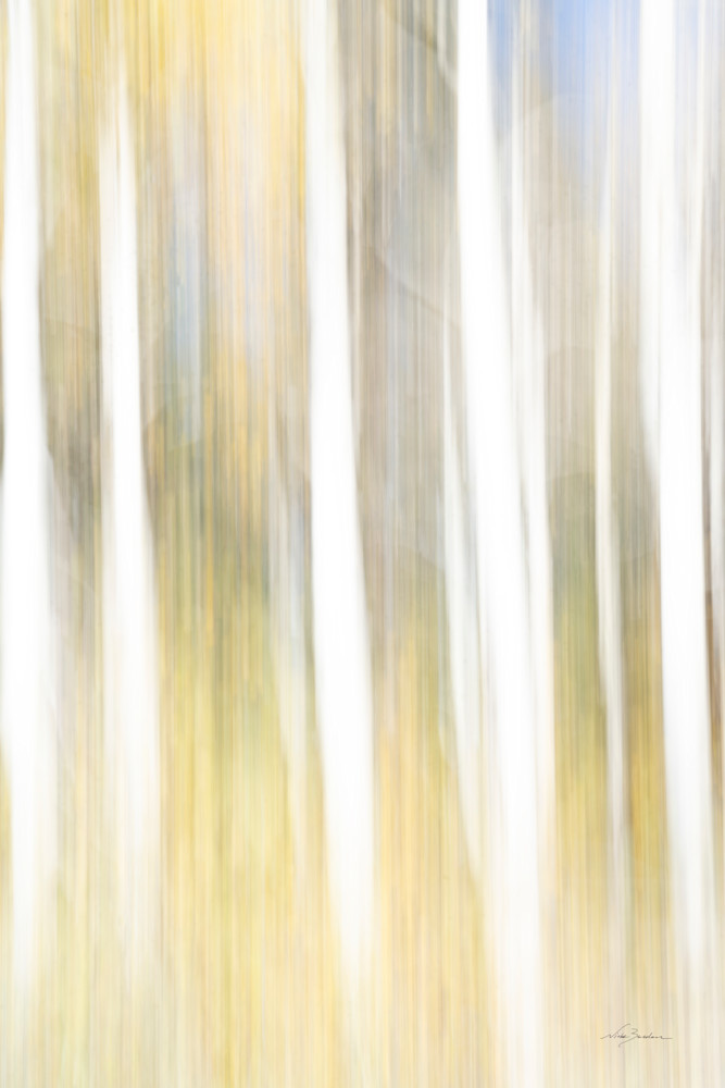 Pastel Abstract Aspen I  Photography Art | Niobe Burden Fine Art Photography