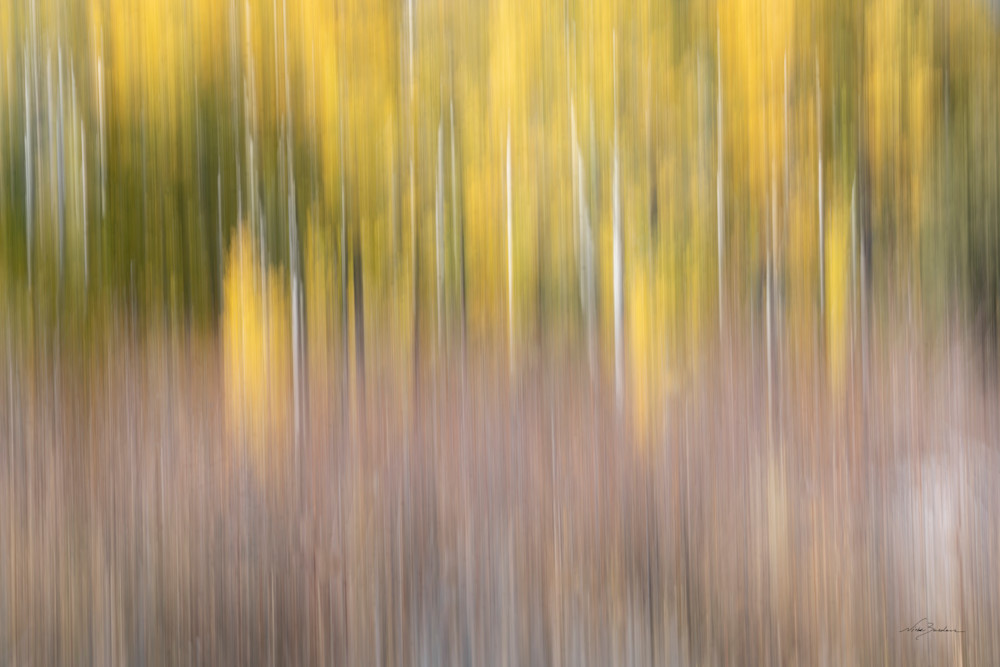 Hope Valley Autumn Intimacy I Photography Art | Niobe Burden Fine Art Photography
