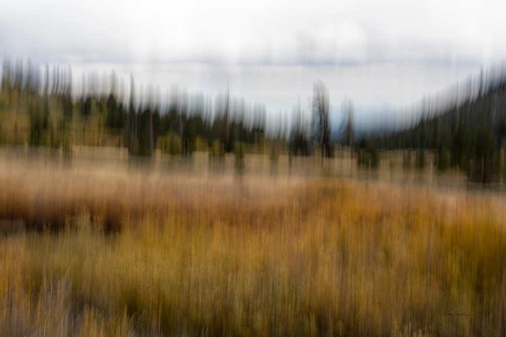 Mt Rose Withering Meadows Abstract Photography Art | Niobe Burden Fine Art Photography