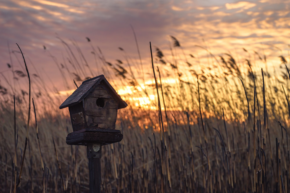 Sunrise Over The Birdhouse Photography Art | Nerd Network Inc