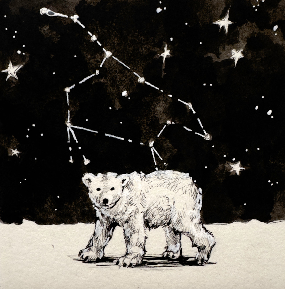 Polar Bear (Ursus Maritimus) With Ursus Major Art | Meghan Taylor Art