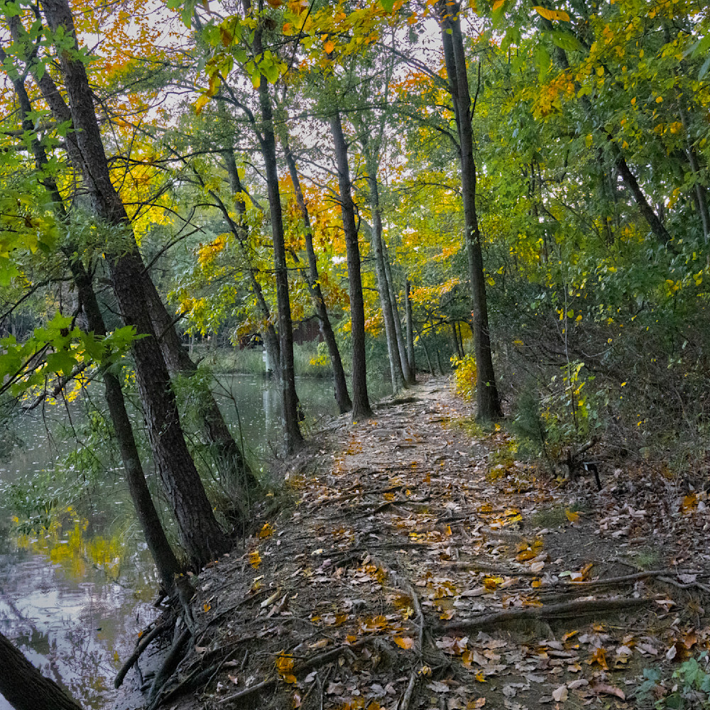 Back Creek Autumn Path Beside Lake Photography Art | Billman Pix