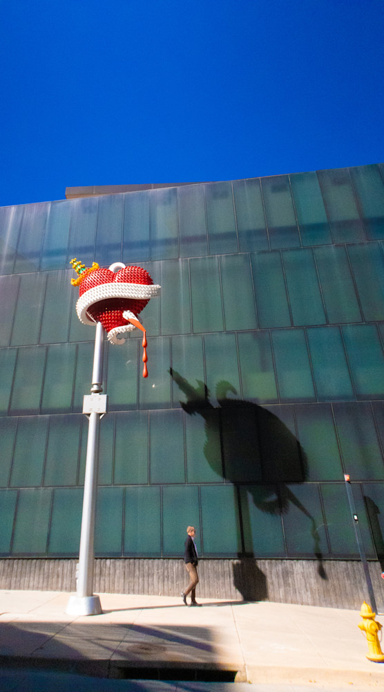 Caution Bleeding Heart Photography Art | DCD Dixon Fine Art Photography