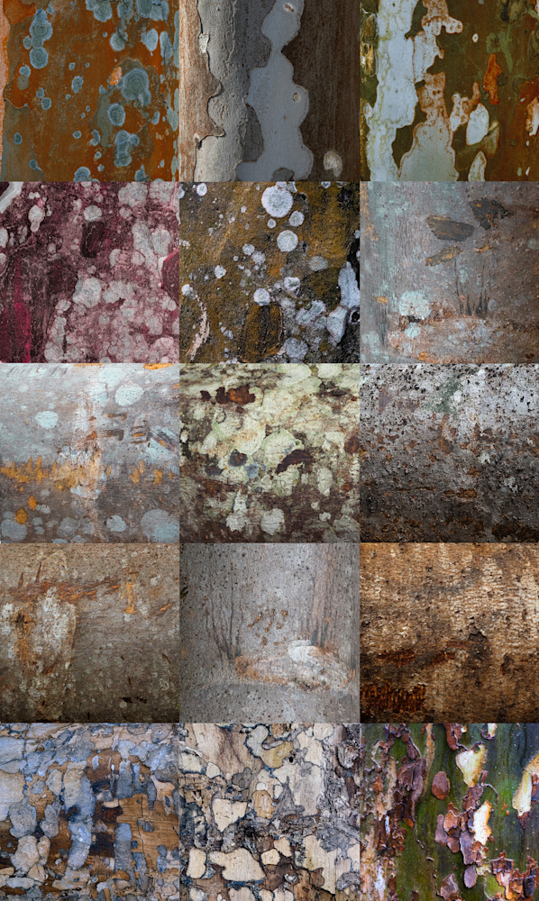 Collage Fifteen Photography Art | racheljeraffi