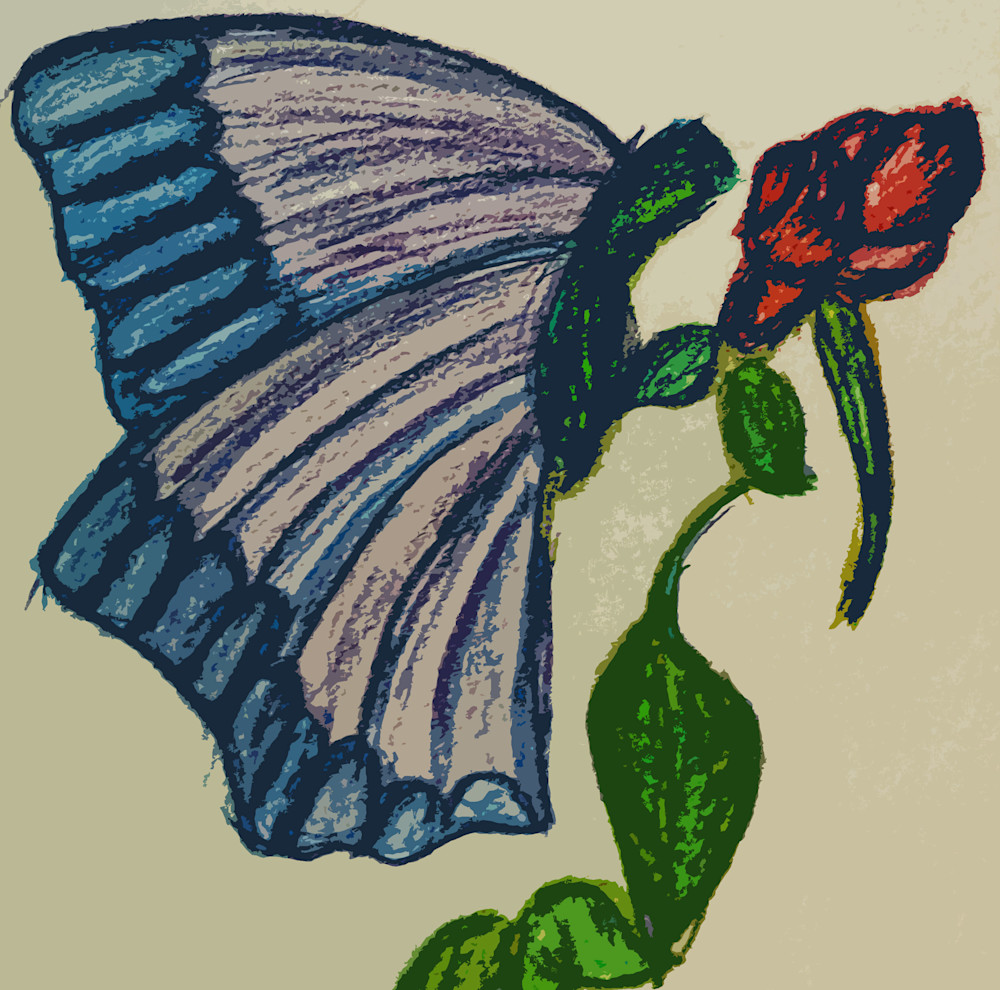 Butterfly And Flower Art | dianawoody