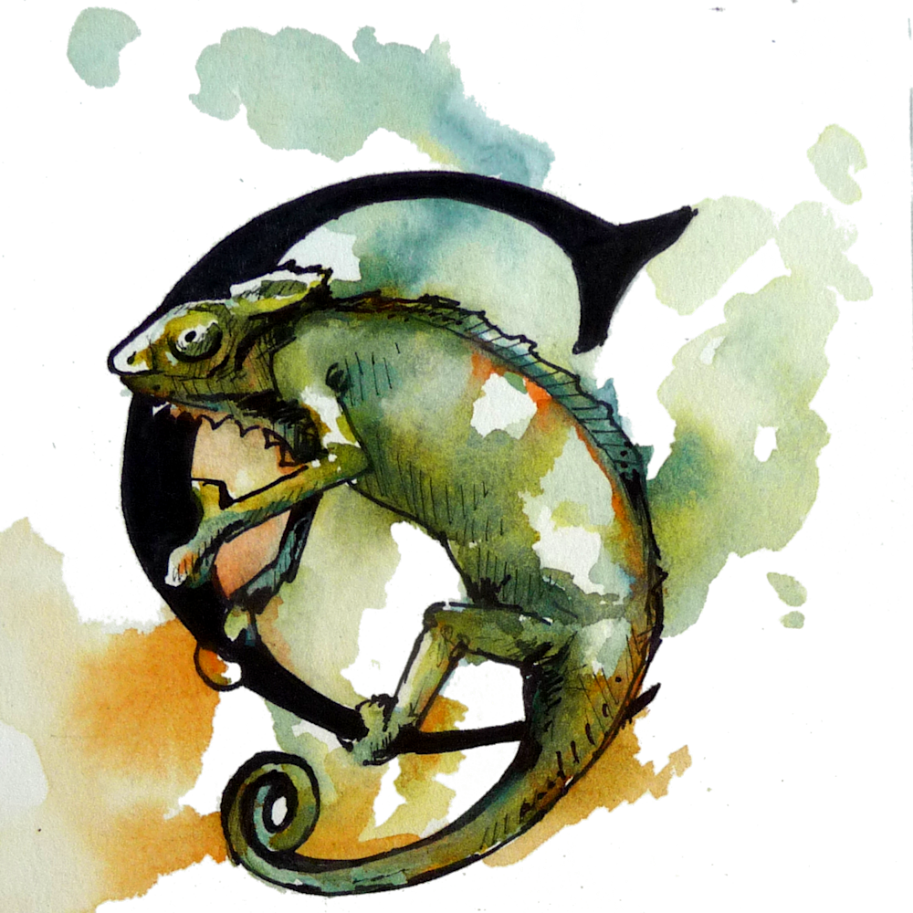 Chameleon Art | Meghan Taylor Art