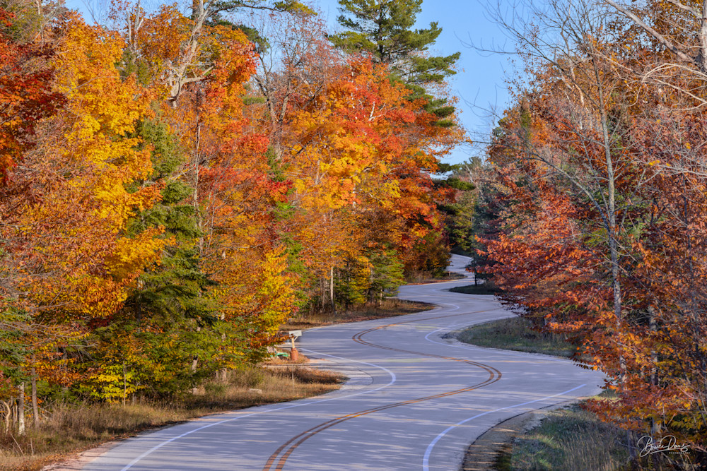 The Winding Road