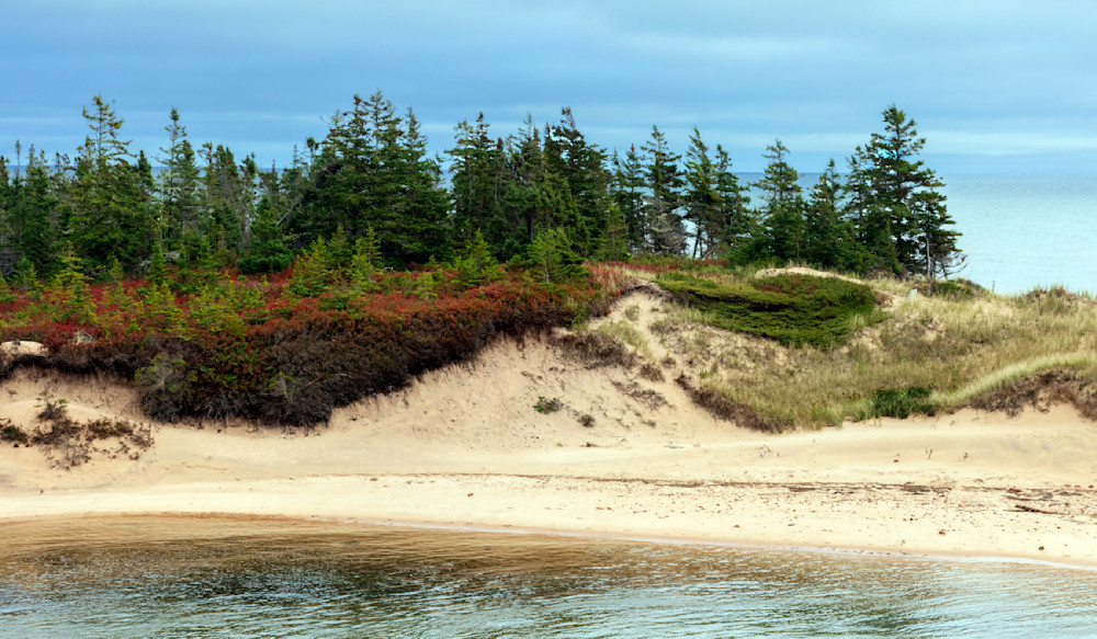 426 A3497 Photography Art | Dana Echols Photography 