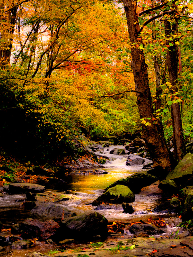 Fine Creek