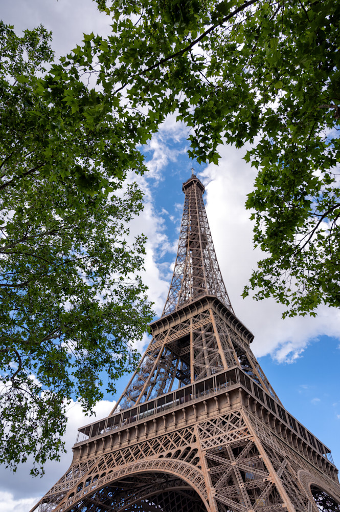 Looking up at the Eiffel Tower through the trees

